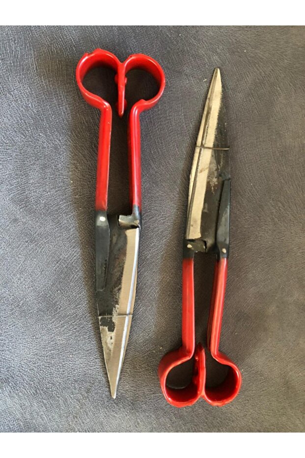 Koyun Kırpım Makası - 1