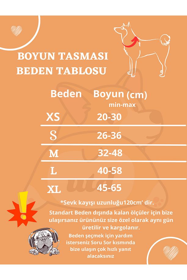 Leopard Köpek Boyun Tasması ve Gezdirme Sevk Kayış Seti (Fular hediyeli) - 7