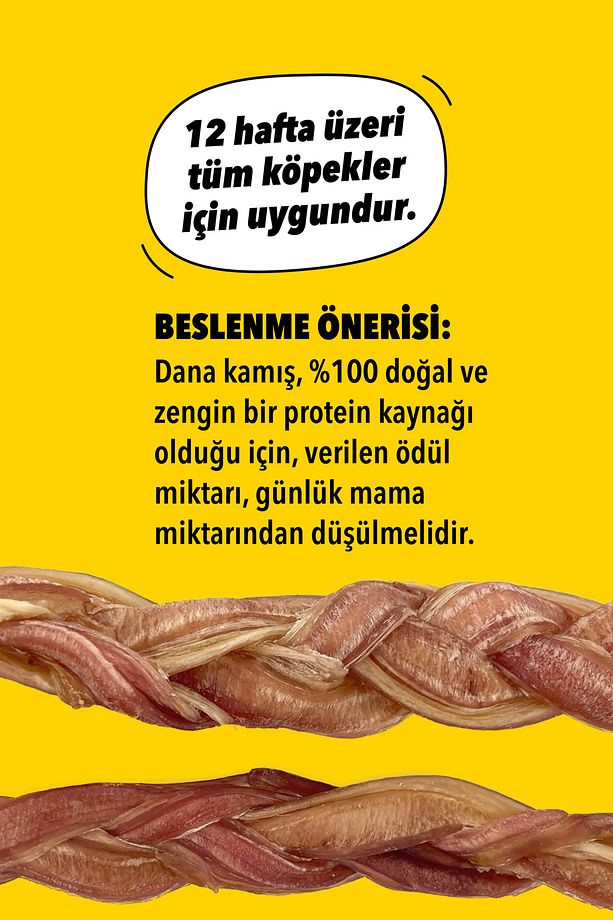 Köpek Ödül Kemiği 2 Adet Dana Örgü Kamış Köpek Çiğneme Çubukları Yüksek Proteinli Köpek Ödülü - 4