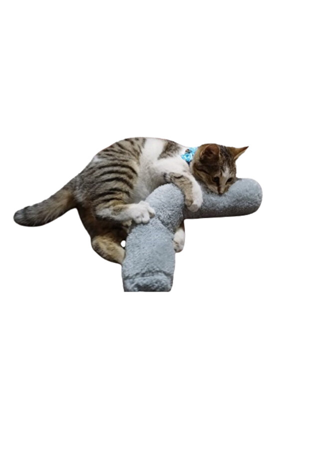 Cat Toy Hugging Pillow Sleeping Toy with Cat Herb 30 Cm Plush (1 Piece) Gray