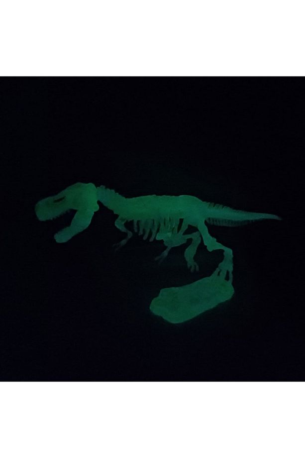 Fosforlu Parıldayan Glow T-rex 3 Boyutlu Dinozor İskelet Maket Model Oyuncak - 3