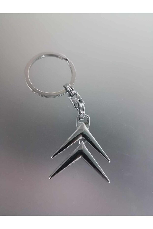 Citroen Ds3 Keychain Metal 3D Chrome Car Keychain
