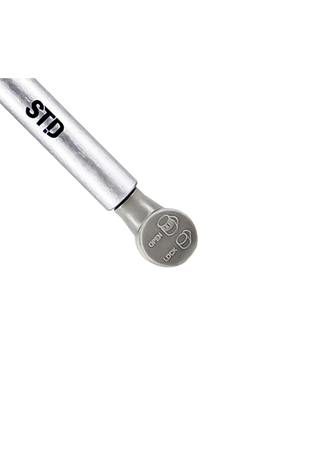 80 N Gazlı Piston - 2