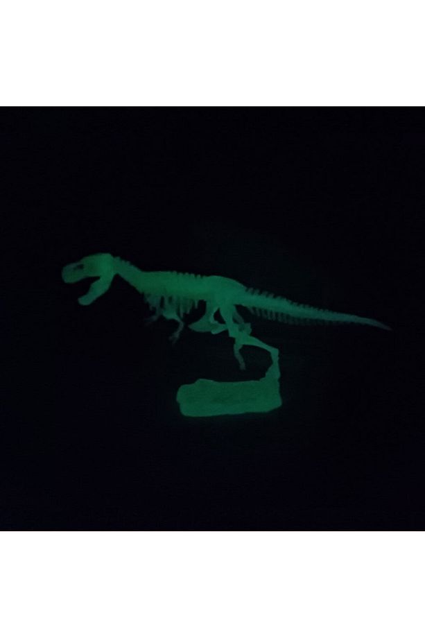Fosforlu Parıldayan Glow T-rex 3 Boyutlu Dinozor İskelet Maket Model Oyuncak - 4