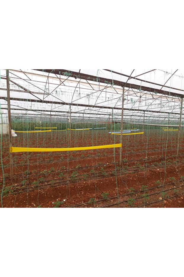 30 Cm X 100 M Sarı Rulo Yapışkan Tuzak - 2