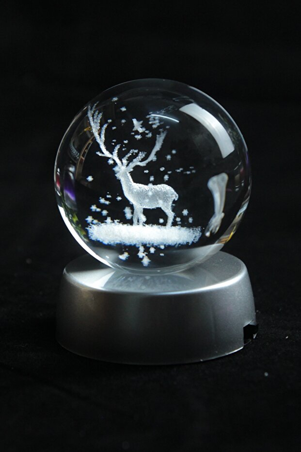 3d Geyikli Işıklı Cam Küre - 4