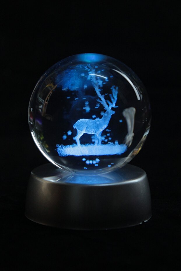 3d Geyikli Işıklı Cam Küre - 5