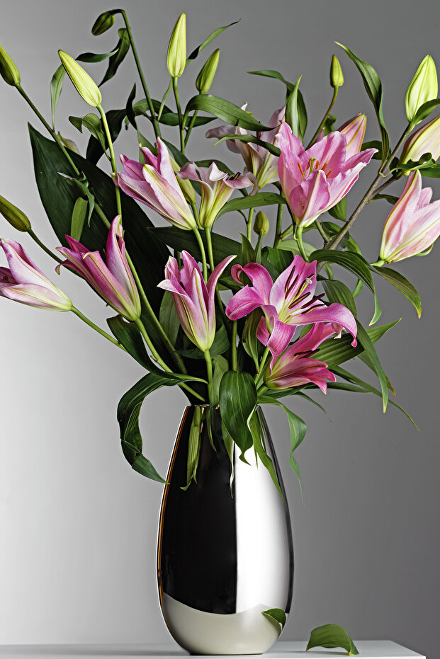 Anais Vazo 30 Cm - 2