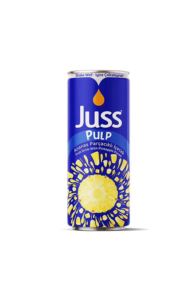 Pulp Ananas Meyve Parçacıklı İçecek 250ml x 24'lü - 1