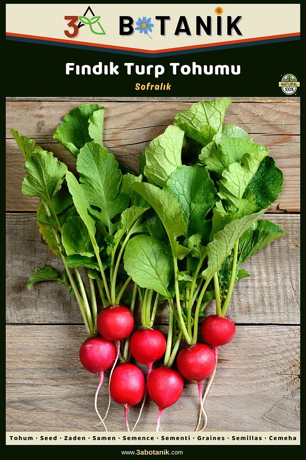 Fındık Turp Tohumu, Sulu Ve Gevrek Yapılıdır, 3 Gram/300-360 Adet Tohum - 1