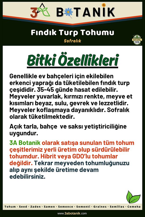 Fındık Turp Tohumu, Sulu Ve Gevrek Yapılıdır, 3 Gram/300-360 Adet Tohum - 2
