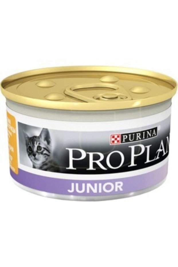 Proplan Kedi Yaş Maması