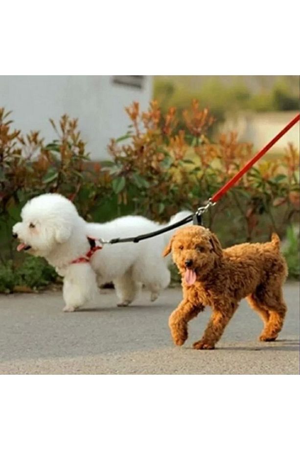 Iki Köpek Gezdirme, Köpek Gezdirme Kayışı Ikili, Ayarlanabilir Köpek Gezdirme Kayışı Ikili - 4