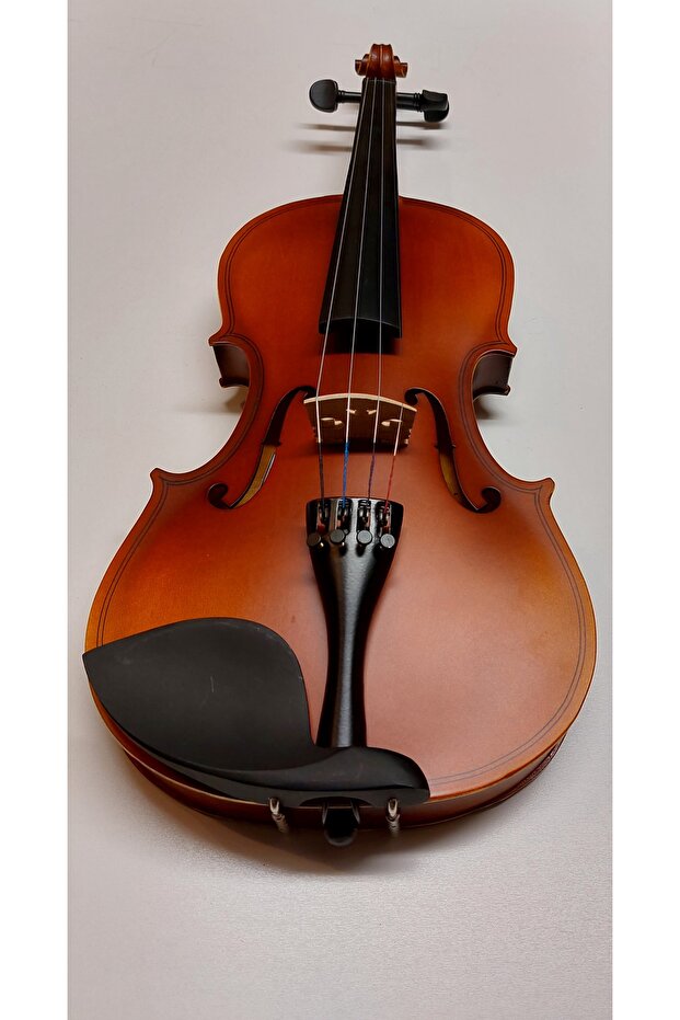 Artemis Hareli 4/4 Keman - 1