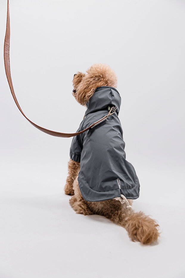Köpek Yağmurluk - 7