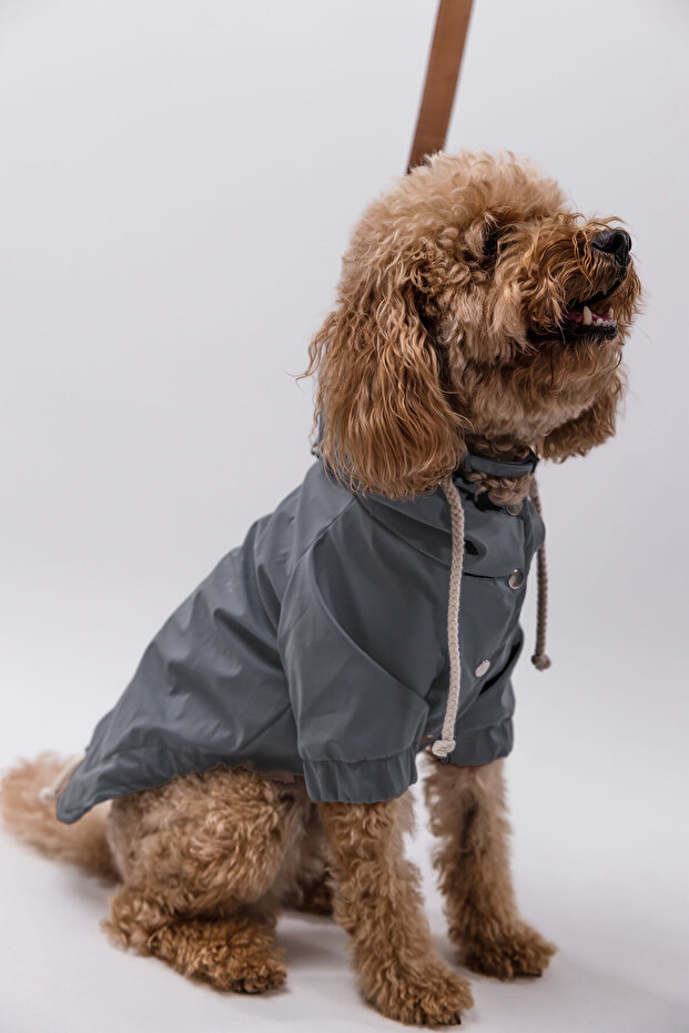 Köpek Yağmurluk - 3