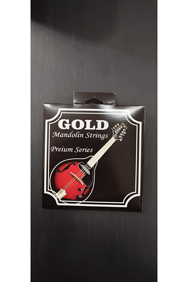 MANDOLİN