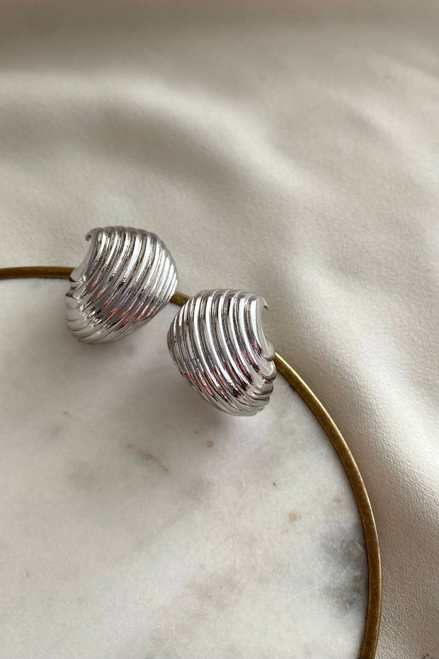 Steel Silver Color Oyster Earrings
