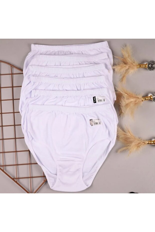 Underwear Women's High Waist Bato Panties 6-Pack