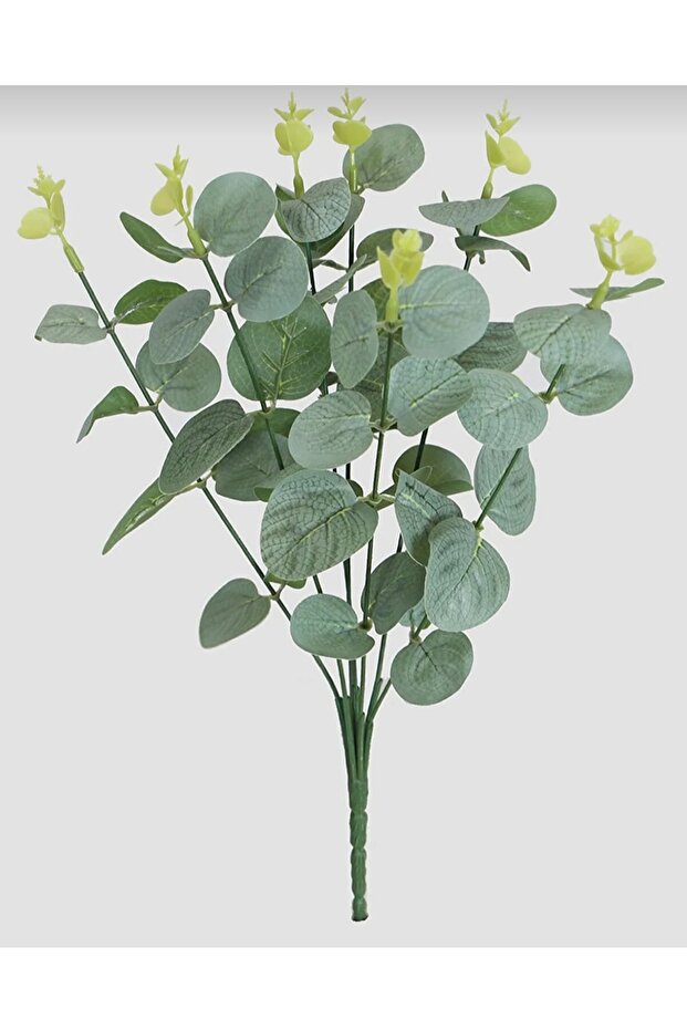 باقة الأوكالبتوس المزيفة للرياح - 2