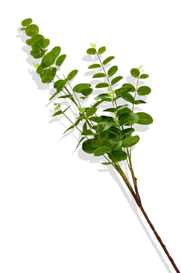 Yapay Okaliptus Tek Dal 93 Cm - 3