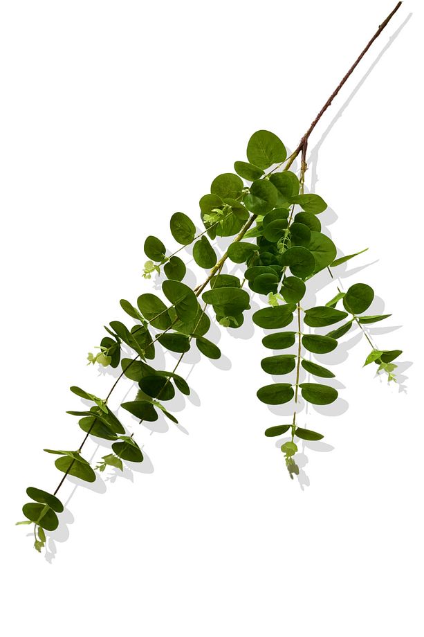 Yapay Okaliptus Tek Dal 93 Cm - 4
