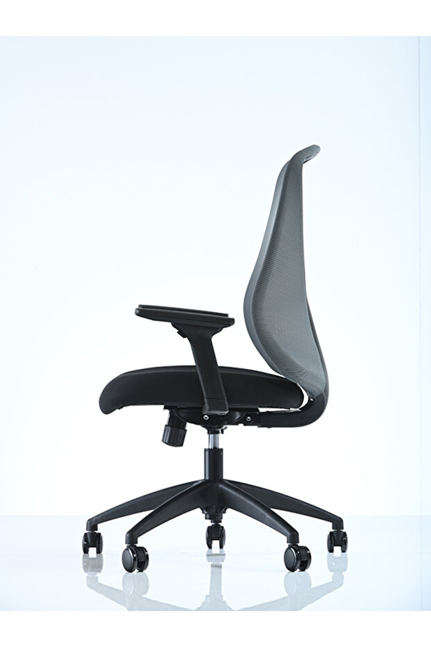 Goldsit Orfe 100pa - 3