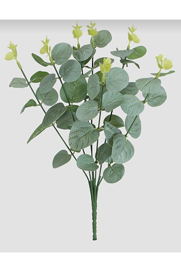 باقة الأوكالبتوس المزيفة للرياح - 1