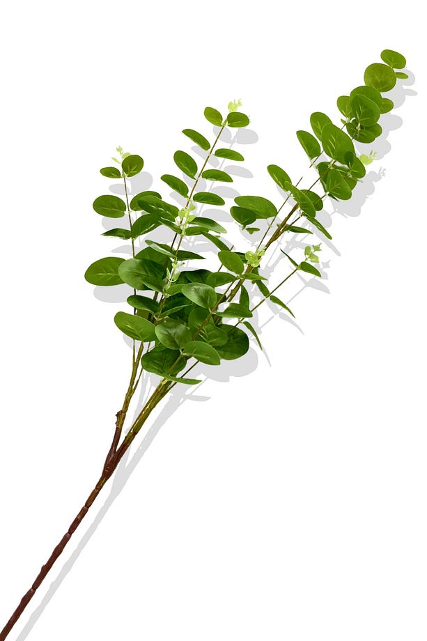 Yapay Okaliptus Tek Dal 93 Cm - 2