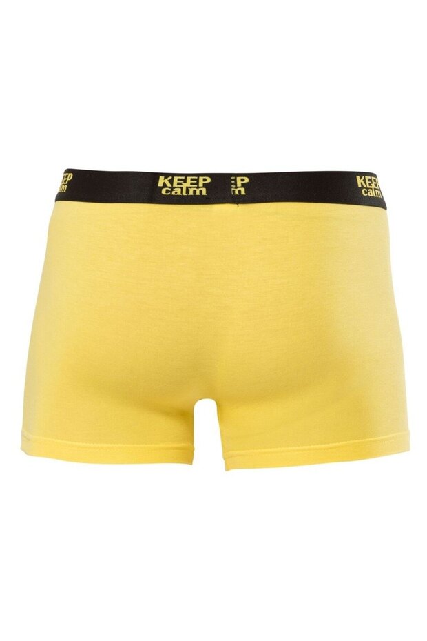 Modal Boxer - 2
