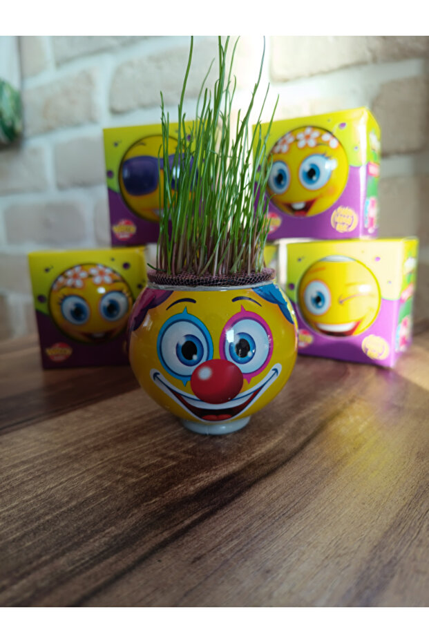 Çim Adam 27'li Tek Tek Kutusunda - 4