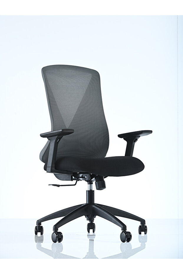 Goldsit Orfe 100pa - 1