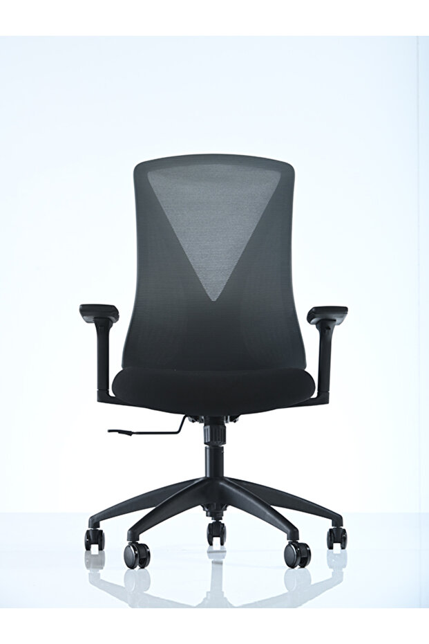 Goldsit Orfe 100pa - 4