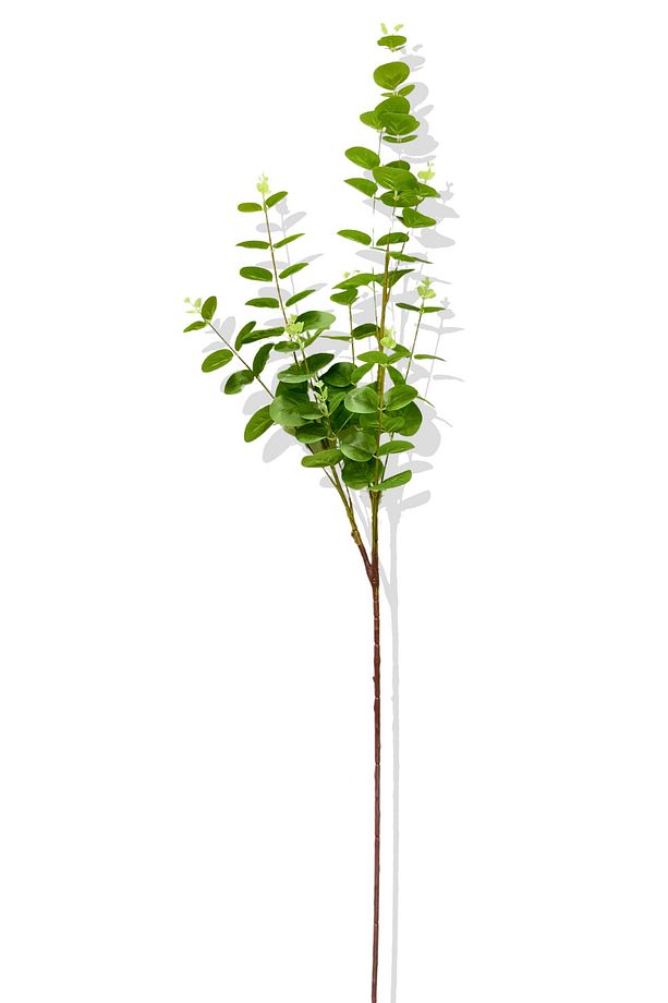 Yapay Okaliptus Tek Dal 93 Cm - 1
