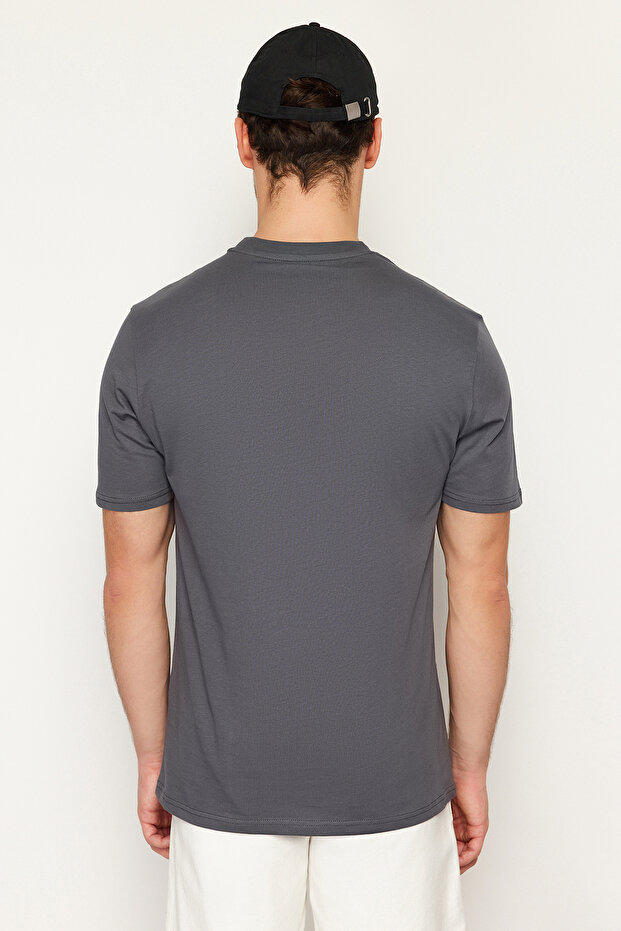 Antrasit Regular/Normal Kesim Kurt Nakışlı %100 Pamuklu T-Shirt TMNSS24TS00056 - 2