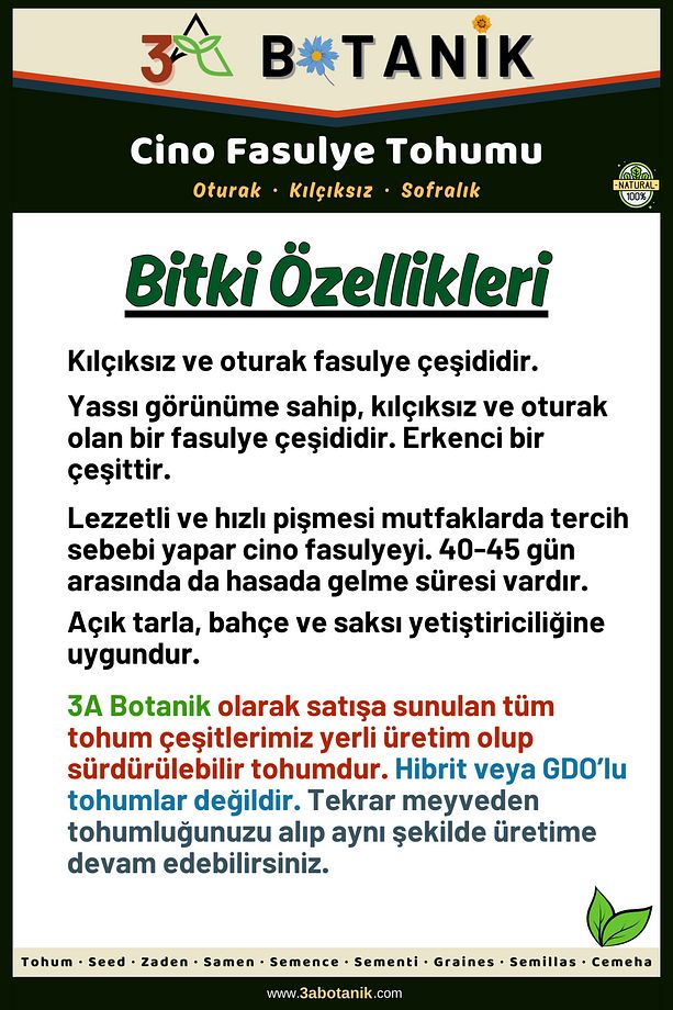 Cino Oturak Fasulye Tohumu, Yerli ve Sürdürülebilir Tohum, 10 Gram Fasulye Tohumu - 2