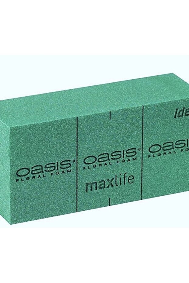 - Çiçek süngeri - 1