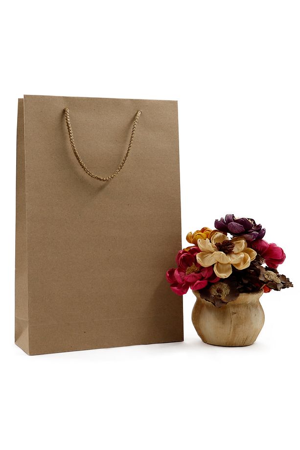 Kraft Premium Karton Çanta 25 X 38 X 8 Cm 2 Adet Hediye Poşeti - 1