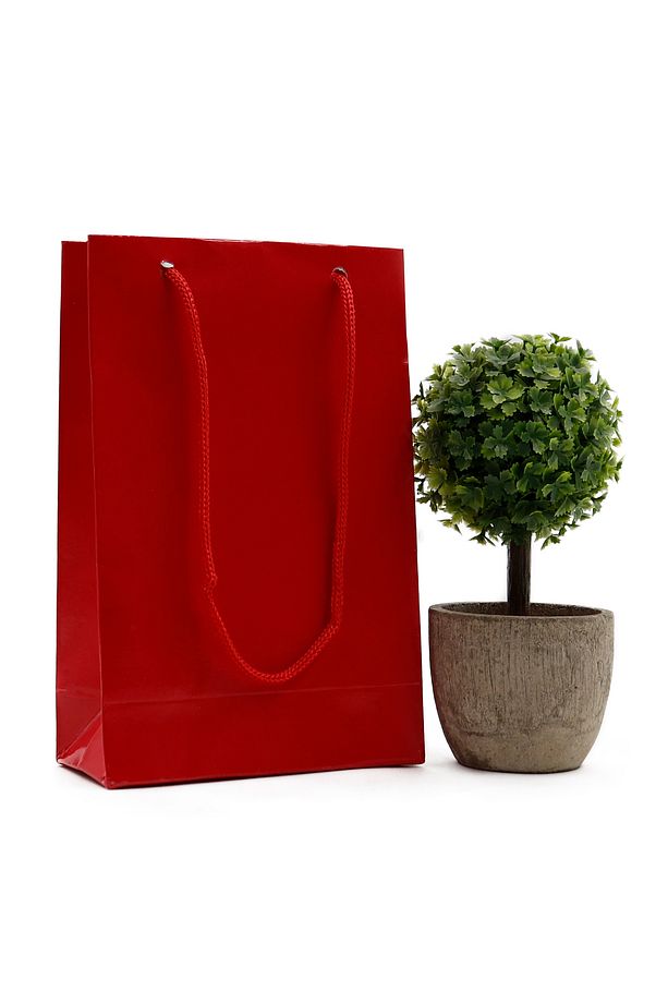 Kırmızı Premium Karton Çanta 12 X 17 X 5 Cm 2 Adet Hediye Poşeti - 1