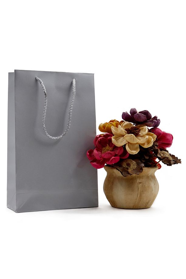 Gümüş Premium Karton Çanta 17 x 27 x 7 cm 2 Adet Hediye Poşeti - 1