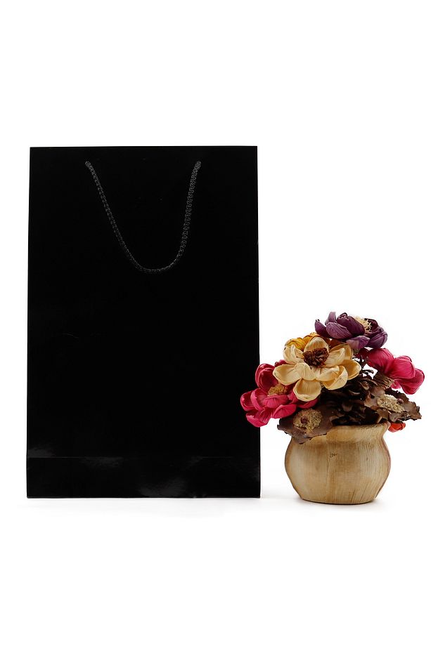 Siyah Premium Karton Çanta 25 x 38 x 8 cm 2 Adet Hediye Poşeti - 2