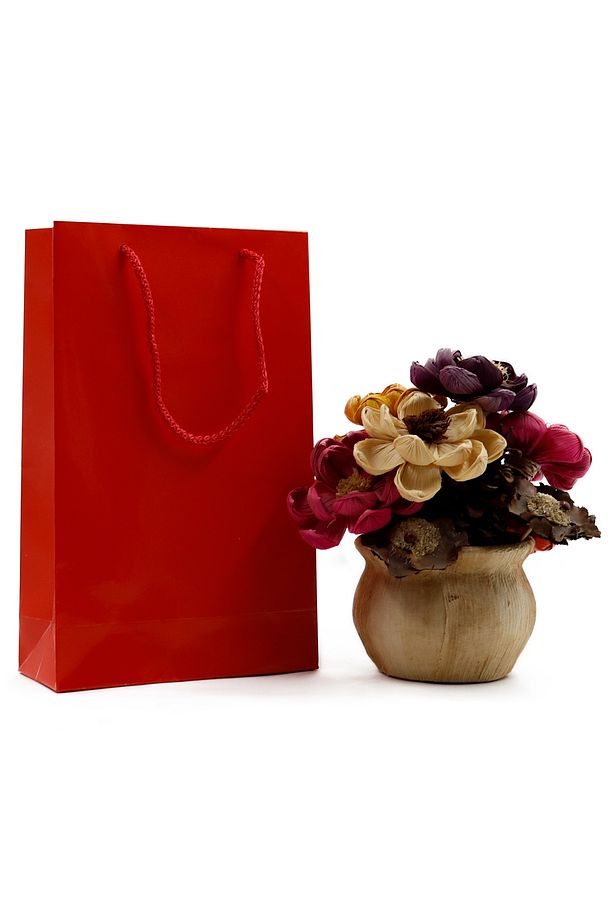 Kırmızı Premium Karton Çanta 17 x 27 x 7 cm 2 Adet Hediye Poşeti - 1