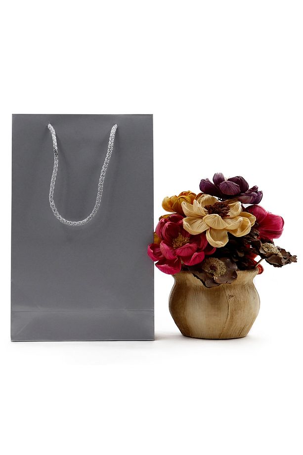 Gümüş Premium Karton Çanta 17 x 27 x 7 cm 2 Adet Hediye Poşeti - 2