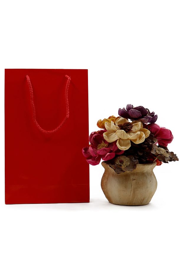 Kırmızı Premium Karton Çanta 17 x 27 x 7 cm 2 Adet Hediye Poşeti - 2