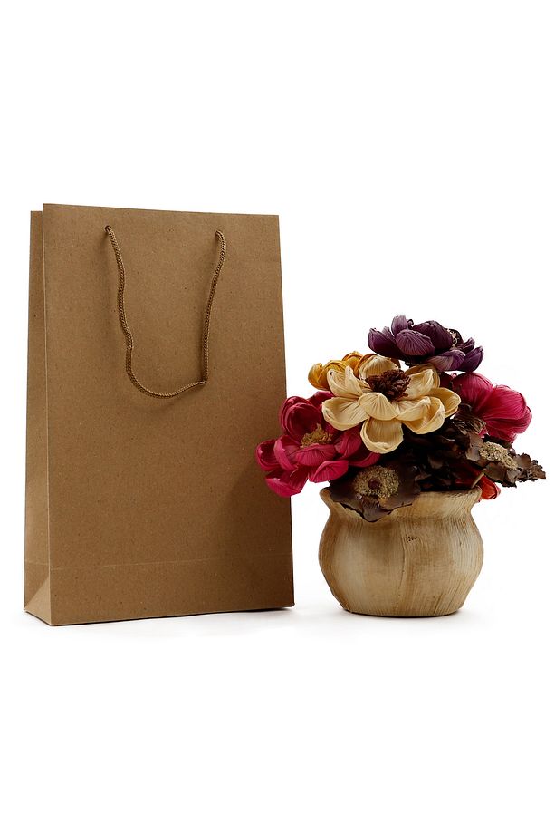 Kraft Premium Karton Çanta 17 X 27 X 7 Cm 2 Adet Hediye Poşeti - 1