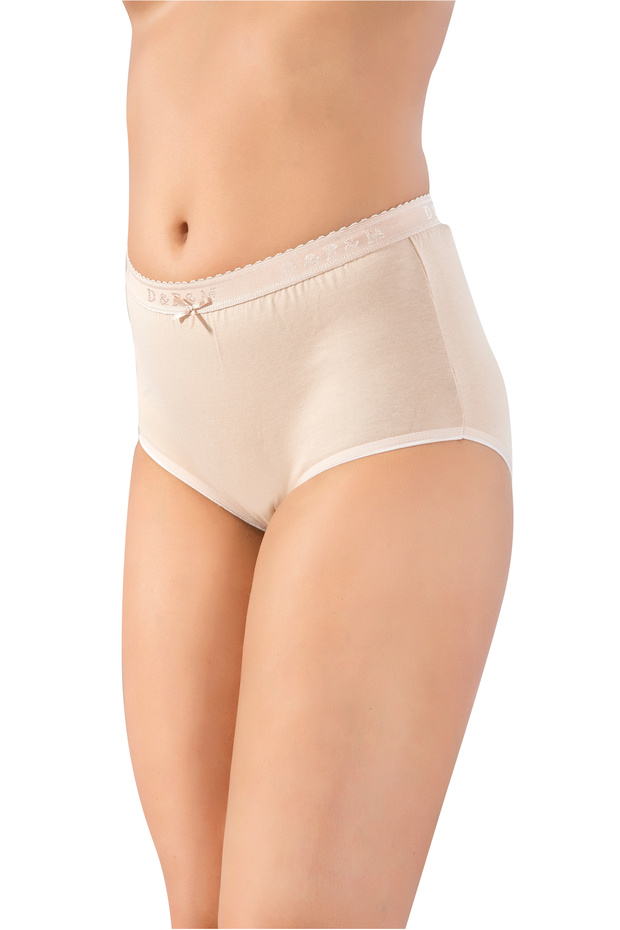 107 - 5 Pieces Cotton Lycra, Comfortable Fit, High Waist Women's Bato Panties