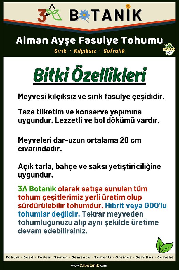 Alman Ayşe Sırık Fasulye Tohumu, Yerli ve Sürdürülebilir Tohum, 10 Gram Fasulye Tohumu - 2