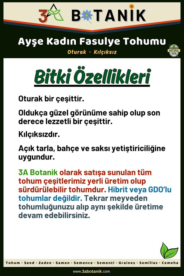 Ayşe Kadın Oturak Fasulye Tohumu, Yerli ve Sürdürülebilir, 10 Gram Fasulye Tohumu - 2