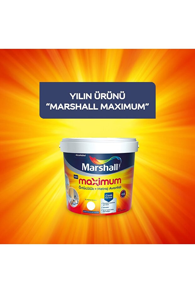 Maximum Silikonlu Silinebilir Serap 2,5lt - 1