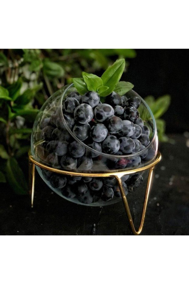 Specially Designed Glass Jar, Glass Flower Pot, Fruit Bowl, Glass Candle Holder, Aquarium, Presentation Holder